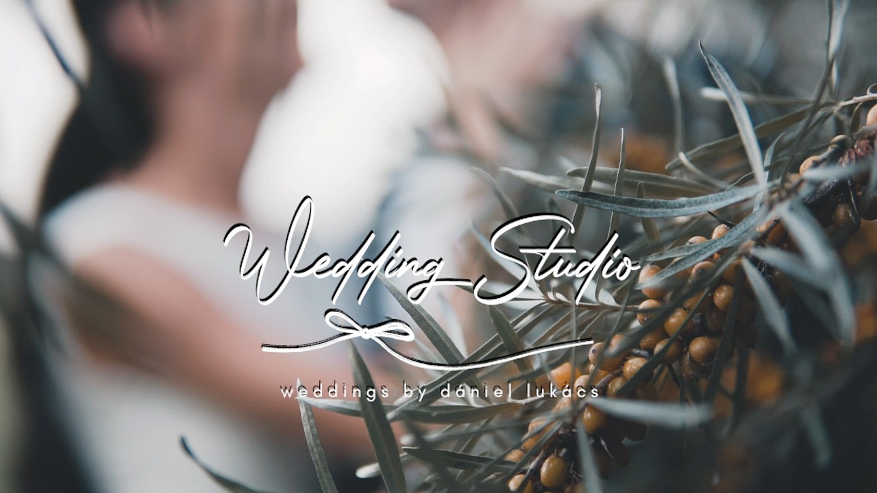 Zsóka & Balázs I Wedding highlights