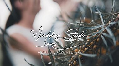 Videographer Dániel Lukács from Pécs, Hungary - Zsóka & Balázs I Wedding highlights, drone-video, wedding