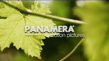 Videographer Jozef Zitnansky from Bratislava, Slovensko - Danka @ Michal - vintage wedding intro, wedding