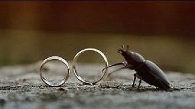 Videographer Jozef Zitnansky from Bratislava, Slovensko - M &amp; M - wedding clip, wedding