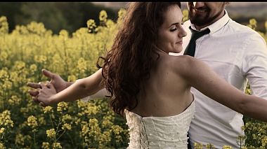 Videographer Petrican Films from Vienna, Austria - Falling into Love, wedding