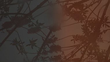 来自 塔什干, 乌兹别克斯坦 的摄像师 Bekhzod Mirzaxalilov - Advertising Spring Rain cinematography, advertising, engagement, musical video, wedding