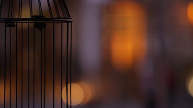 Videographer Vaios Moraitis from Larisa, Greece - LaComics Festival 2020, event