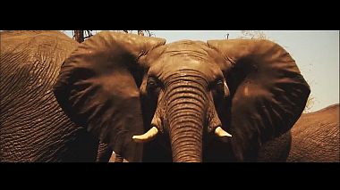 Videographer Vlad Stepanov from Zaporizhzhya, Ukraine - Love in Tanzania, advertising, drone-video, event