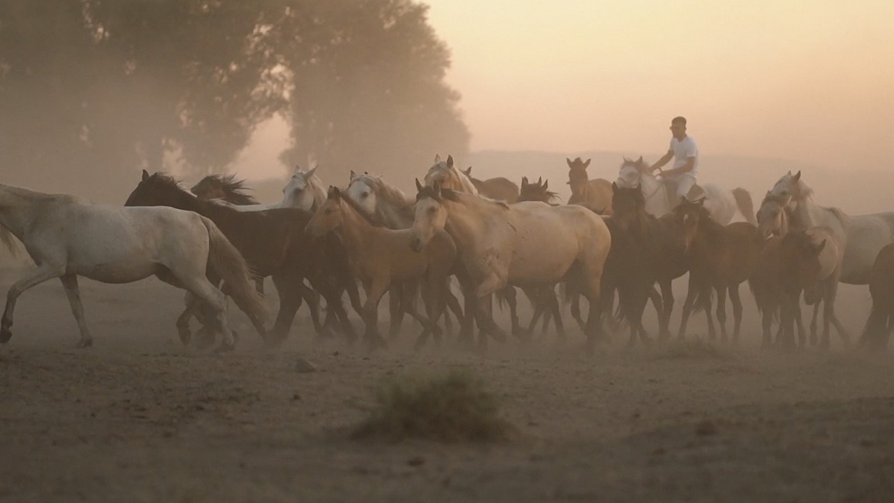 Kübra + Ömer/cappadocia
