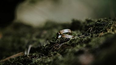 Videographer Fineleaf films from Segedín, Maďarsko - Viki-Pisti Wedding Highlights, wedding