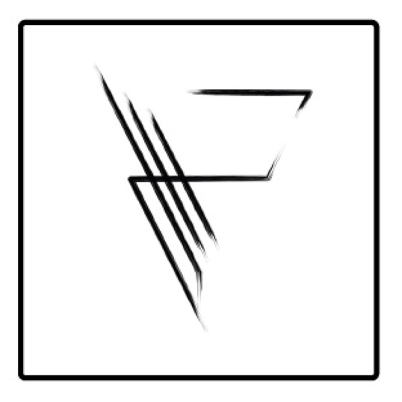 Videographer Fineleaf films