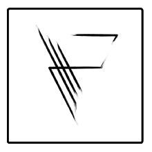 Videographer Fineleaf films