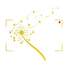 Videographer RICORDI - Tworzymy Wspomnienia