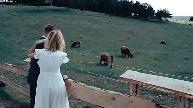 Toruń, Polonya'dan RECity Films Mendyka kameraman - Koneserzy - Ewelina i Wiktor, düğün