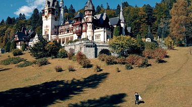 Videographer ADI Media - Adrian Chiţu from Bukarest, Rumänien - Denisa + Bogdan - Short Film, wedding