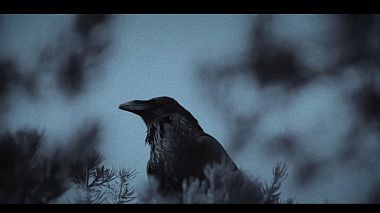 Videographer Atilla Zengin from Antaliya, Turkey - Dreamer, musical video, showreel, wedding
