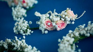 Videographer Draguleasa Eduard from Temešvár, Rumunsko - Nunta Ruxandra & Mihai, event