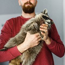 Videographer Andrey Yarashevich