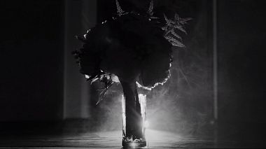 Videographer Maxim Eremin from Lipeck, Rusko - Wedding fees, engagement, event, wedding