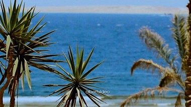 Videographer Albert video from Lipeck, Rusko - море...море..., baby