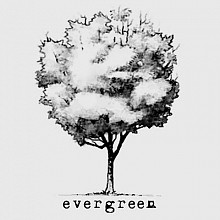 Videograf evergreen videografi