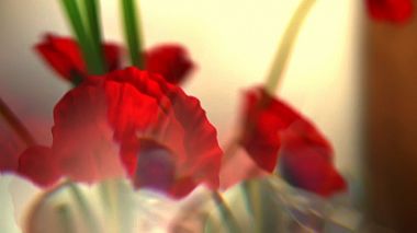 Videographer Cezar Brasoveanu đến từ Flare, Flower, advertising, showreel, training video