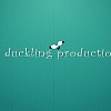 Videographer duckling production