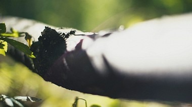 Βιντεογράφος dab studio από Βαρσοβία, Πολωνία - k + l | mother nature. the best backdrop, drone-video, engagement, reporting