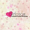 Videographer Gattotigre Destination Wedding Videography