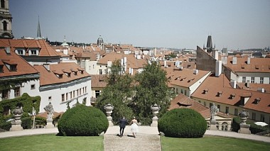 Відеограф Oldrich Culik, Прага, Чехія - Hayley & Stefan / Tears of happiness, wedding