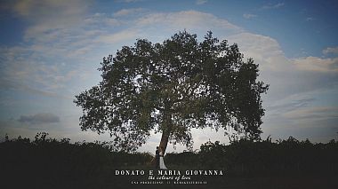 Videographer Daniele Fusco Videomaker from Lecce, Italy - THE COLOURS OF LOVE - Donato e Maria Giovanna, drone-video, engagement, event, wedding