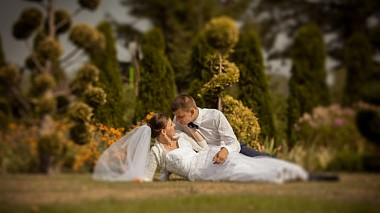 Videographer Cinema Studio from Wroclaw, Poland - Dorota & Grzegorz, wedding