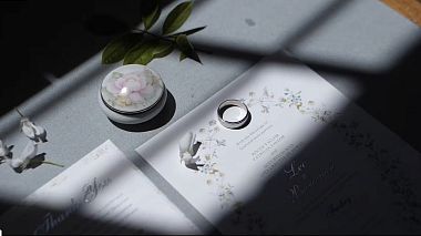 Videographer Vitor Duarte from Lisabon, Portugalsko - Lee & Berenisse, SDE, showreel, wedding