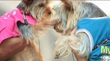 Videographer Andriy Kobrun đến từ Love overcomes borders, engagement