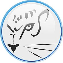 Videographer White Pantera Studio