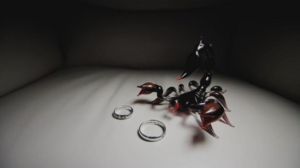 wedding showreel | 2012