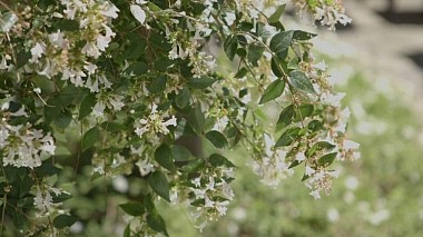 Відеограф Fabio D'Azzo, Неаполь, Італія - Anna & Bruno :::Wedding in Naples::: 25 luglio 2012, wedding