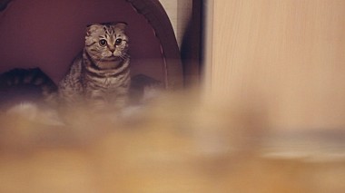 Βιντεογράφος Triada Studio από Ιβάνοβο, Ρωσία - Максим и Олеся, wedding