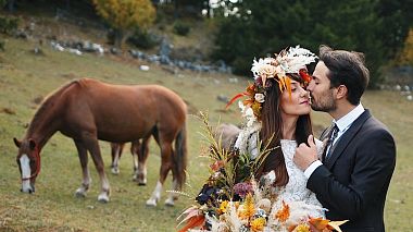 Videografo Despa Films da Bucarest, Romania - DENISA + RUBEN | Teaser, drone-video, event, wedding