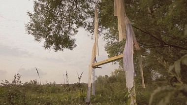 Videografo Даниил Стрельцов da Sterlitamak, Russia - Андрей и Надежда, wedding