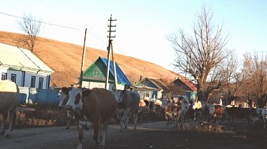 来自 尤戈尔斯克, 俄罗斯 的摄像师 Виталий Колесов - Weekend in village, event