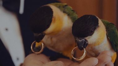 Videógrafo VIDEOFILM de Opole, Polónia - Teresa & Marek, wedding