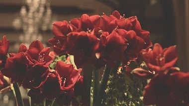 Videographer Catalin Horatiu from Bucharest, Romania - Elena & Sertac, wedding