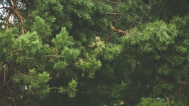 Відеограф Alexander Davydov, Воронеж, Росія - Спорный вопрос: Weekend. 2-4 мая 2015, backstage