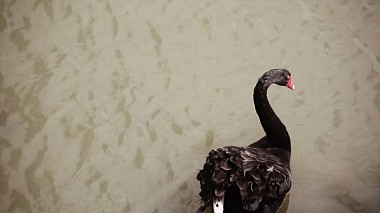 Videograf MoviesArt GbR din Köln, Germania - Lilia & Waldemar - The Highlights, nunta