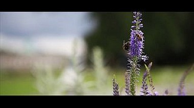 Videographer MoviesArt GbR from Kolín nad Rýnem, Německo - Lena + Viktor - the highlights, wedding