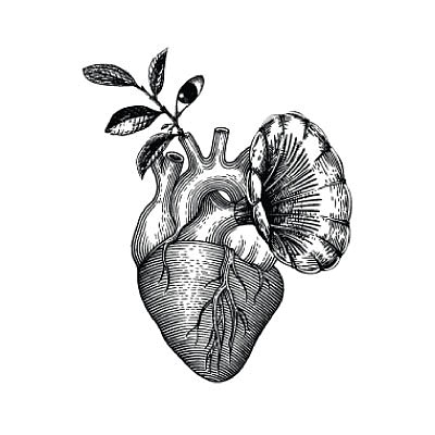 Videographer monocromostudio