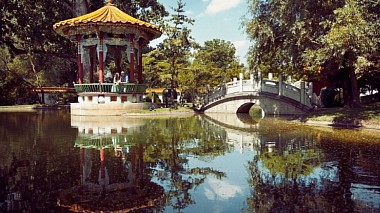 Videógrafo Bojan Mitkovski de Bitola, Macedónia do Norte - Beneath your beautiful - Milica & Boban - Love Story, wedding