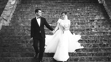 来自 比托拉, 北马其顿 的摄像师 Bojan Mitkovski - Feeling good, wedding