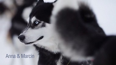 来自 普什奇纳, 波兰 的摄像师 Piękny dzień Studio - Ania & Marcin - wedding video with Tatra mountains and Husky dogs + lens whacking/free lensing, wedding