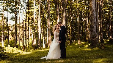 Videographer AM Studio from Wroclaw, Poland - Ewelina I Dawid, wedding