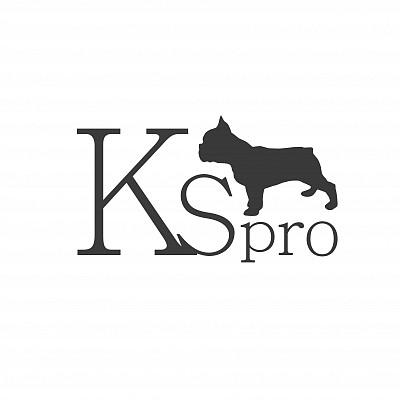 Studio Кирилл соловьев