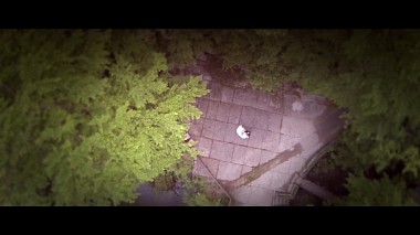 来自 阿拉德, 罗马尼亚 的摄像师 Arcmedia  Wedding Films - D & D - Wedding Highlights, wedding