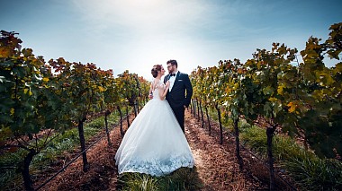 Videographer Dalibor Mitkovski from Bitola, Macédoine du Nord - Snezana & Igor - Love Story, wedding